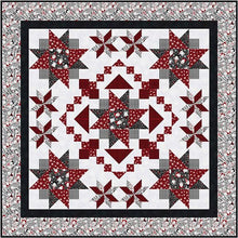 Load image into Gallery viewer, Gnome For The Holidays, Bold Burst Kit