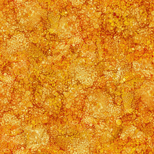 Load image into Gallery viewer, 6 Fat Quarters BUNDLE OF BLISS: Bold and Bright, Oasis for Northcott Fabrics.