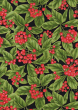 Load image into Gallery viewer, Make It Christmas book by Fran Morgan and Donna Robertson, including 3 Yard Quilt Kit