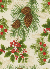 Load image into Gallery viewer, Make It Christmas book by Fran Morgan and Donna Robertson, including 3 Yard Quilt Kit